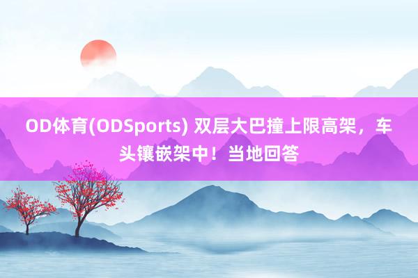 OD体育(ODSports) 双层大巴撞上限高架，车头镶嵌架中！当地回答