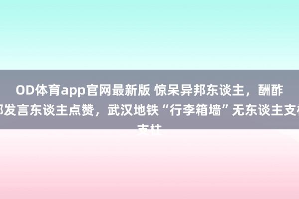 OD体育app官网最新版 惊呆异邦东谈主，酬酢部发言东谈主点赞，武汉地铁“行李箱墙”无东谈主支柱