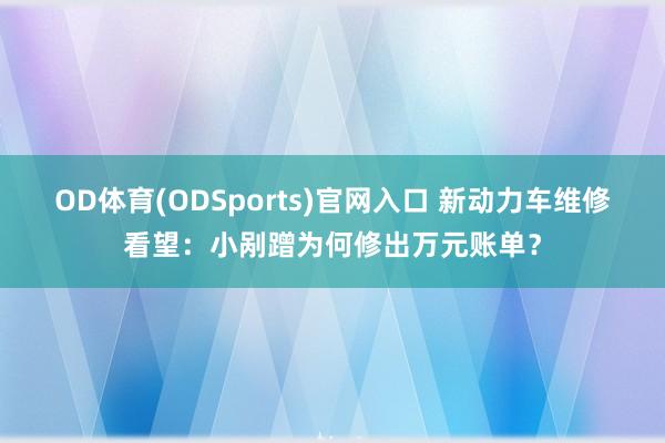 OD体育(ODSports)官网入口 新动力车维修看望：小剐蹭为何修出万元账单？