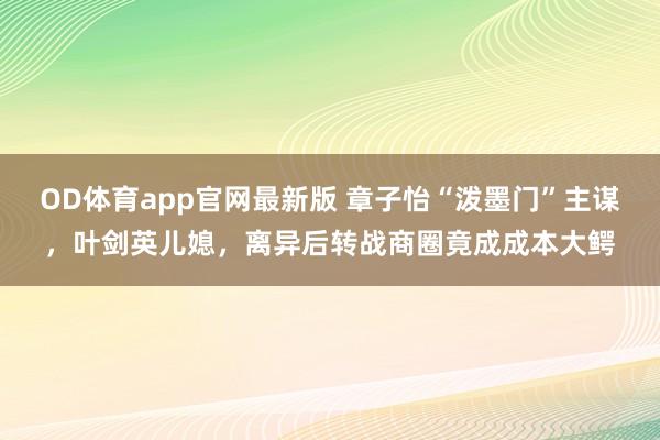 OD体育app官网最新版 章子怡“泼墨门”主谋，叶剑英儿媳，离异后转战商圈竟成成本大鳄