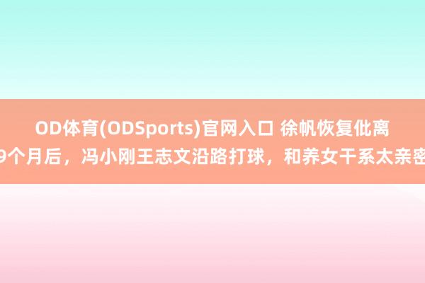 OD体育(ODSports)官网入口 徐帆恢复仳离9个月后，冯小刚王志文沿路打球，和养女干系太亲密
