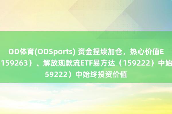 OD体育(ODSports) 资金捏续加仓，热心价值ETF易方达（159263）、解放现款流ETF易方达（159222）中始终投资价值
