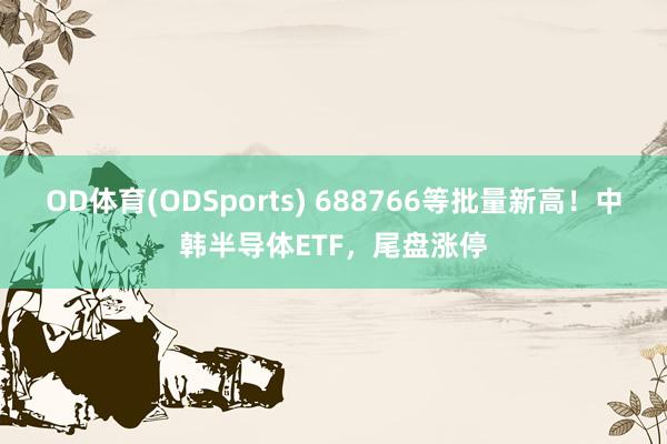 OD体育(ODSports) 688766等批量新高！中韩半导体ETF，尾盘涨停