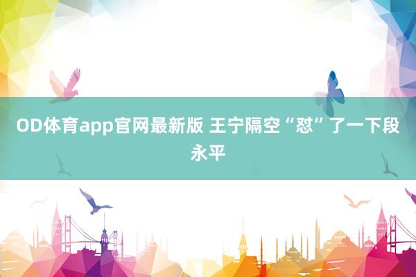 OD体育app官网最新版 王宁隔空“怼”了一下段永平