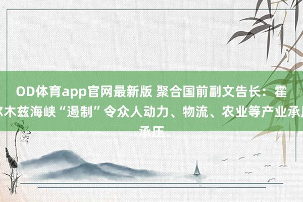 OD体育app官网最新版 聚合国前副文告长：霍尔木兹海峡“遏制”令众人动力、物流、农业等产业承压