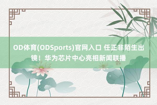 OD体育(ODSports)官网入口 任正非陌生出镜！华为芯片中心亮相新闻联播