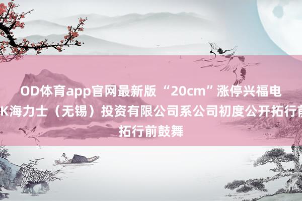 OD体育app官网最新版 “20cm”涨停兴福电子：SK海力士（无锡）投资有限公司系公司初度公开拓行前鼓舞
