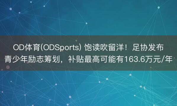 OD体育(ODSports) 饱读吹留洋！足协发布青少年励志筹划，补贴最高可能有163.6万元/年