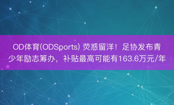 OD体育(ODSports) 荧惑留洋！足协发布青少年励志筹办，补贴最高可能有163.6万元/年
