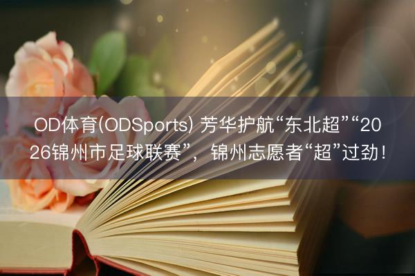 OD体育(ODSports) 芳华护航“东北超”“2026锦州市足球联赛”，锦州志愿者“超”过劲！