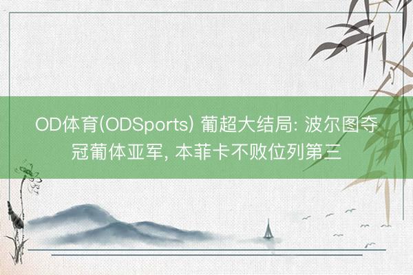 OD体育(ODSports) 葡超大结局: 波尔图夺冠葡体亚军， 本菲卡不败位列第三