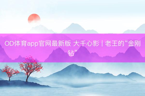 OD体育app官网最新版 大千心影 | 老王的“金刚钻”