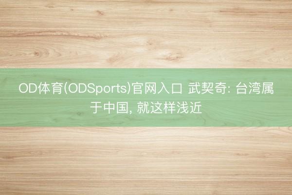 OD体育(ODSports)官网入口 武契奇: 台湾属于中国， 就这样浅近