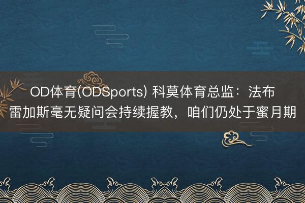 OD体育(ODSports) 科莫体育总监：法布雷加斯毫无疑问会持续握教，咱们仍处于蜜月期