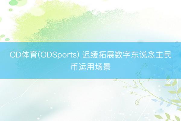 OD体育(ODSports) 迟缓拓展数字东说念主民币运用场景