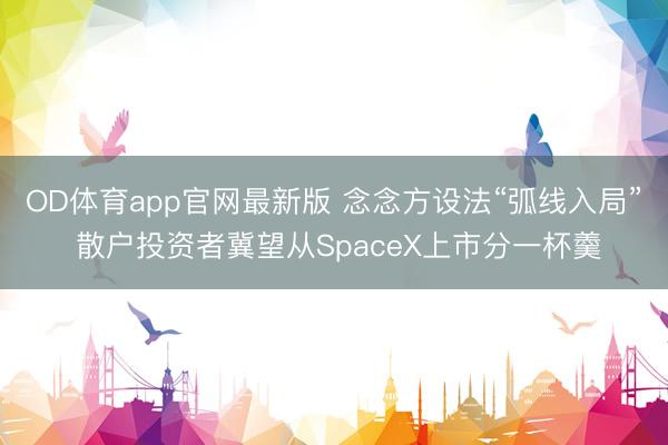OD体育app官网最新版 念念方设法“弧线入局” 散户投资者冀望从SpaceX上市分一杯羹