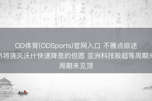 OD体育(ODSports)官网入口 不雅点综述：AI热将浇灭沃什快速降息的但愿 亚洲科技股超等周期未见顶