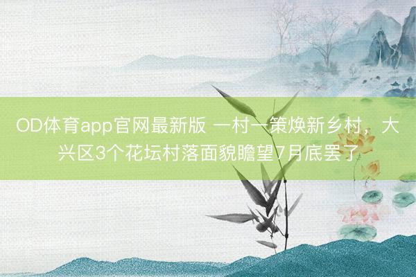 OD体育app官网最新版 一村一策焕新乡村，大兴区3个花坛村落面貌瞻望7月底罢了