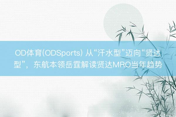 OD体育(ODSports) 从“汗水型”迈向“贤达型”，东航本领岳霆解读贤达MRO当年趋势