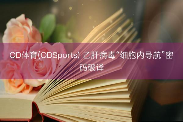 OD体育(ODSports) 乙肝病毒“细胞内导航”密码破译