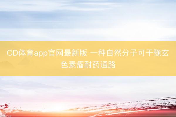 OD体育app官网最新版 一种自然分子可干豫玄色素瘤耐药通路