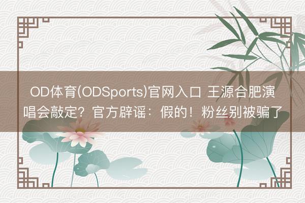OD体育(ODSports)官网入口 王源合肥演唱会敲定？官方辟谣：假的！粉丝别被骗了