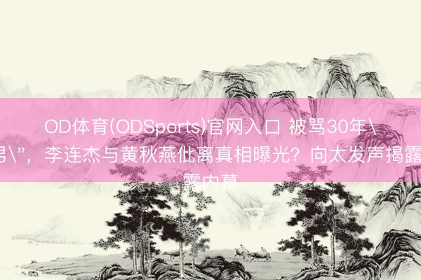 OD体育(ODSports)官网入口 被骂30年