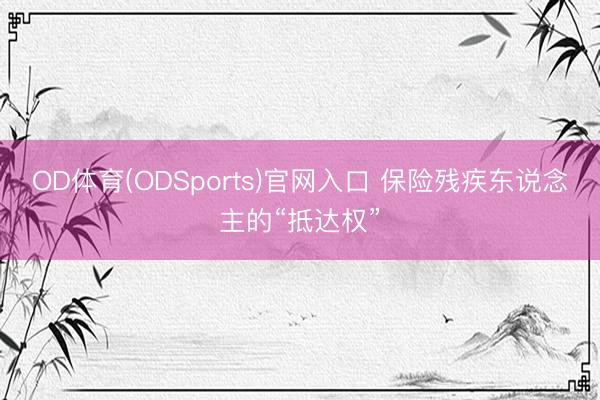 OD体育(ODSports)官网入口 保险残疾东说念主的“抵达权”