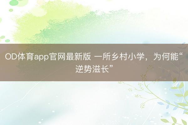 OD体育app官网最新版 一所乡村小学，为何能“逆势滋长”
