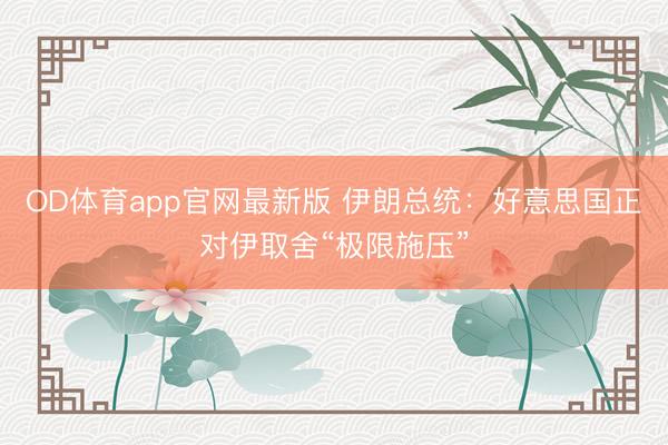 OD体育app官网最新版 伊朗总统：好意思国正对伊取舍“极限施压”