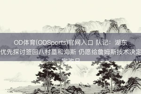 OD体育(ODSports)官网入口 队记：湖东谈主优先探讨签回八村塁和海斯 仍愿给詹姆斯技术决定改日