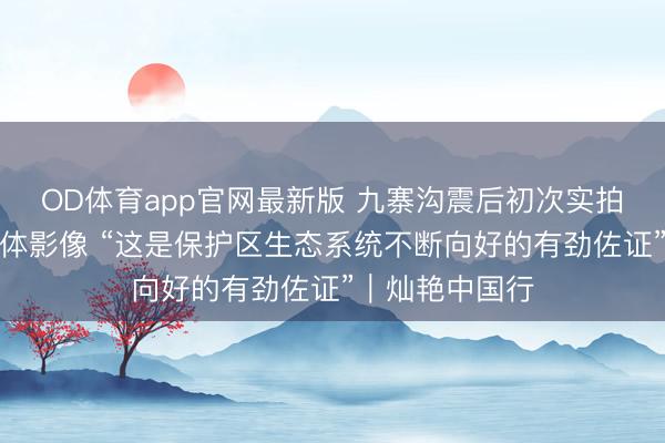 OD体育app官网最新版 九寨沟震后初次实拍野生大熊猫活体影像 “这是保护区生态系统不断向好的有劲佐证”｜灿艳中国行