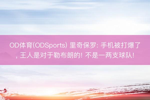 OD体育(ODSports) 里奇保罗: 手机被打爆了, 王人是对于勒布朗的! 不是一两支球队!