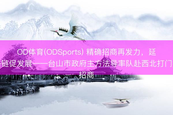 OD体育(ODSports) 精确招商再发力，延链补链促发展——台山市政府主方法导率队赴西北打门招商