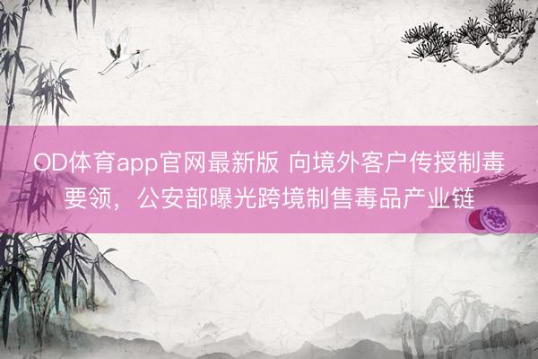 OD体育app官网最新版 向境外客户传授制毒要领，公安部曝光跨境制售毒品产业链