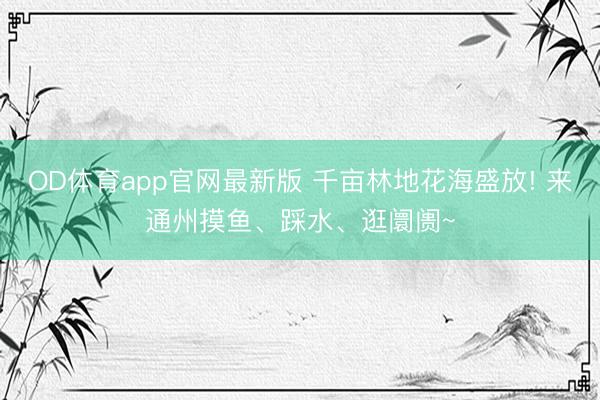 OD体育app官网最新版 千亩林地花海盛放! 来通州摸鱼、踩水、逛阛阓~